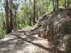 Rocky outcrop beside trail