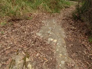 Rock markings on Graves Walk
