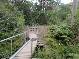 Great North Walk bushtrack