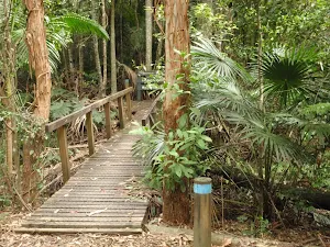 bridge at Seymour Pond