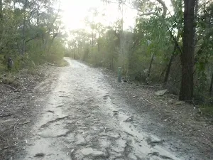 Perimeter Trail near Terrey Hills