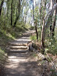Between Govetts leap and Govetts Leap Brook