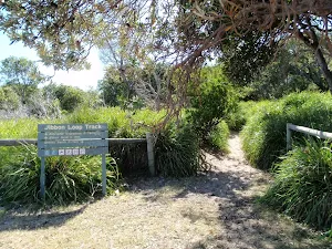 Track intersection at Jibbon Head