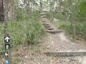 Steps heading away from rangers house
