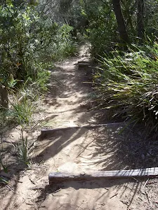 Providential Point Track