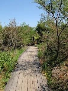 Manly to Spit walk