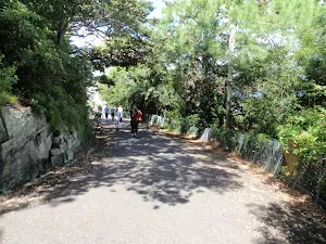 Srtickland House driveway