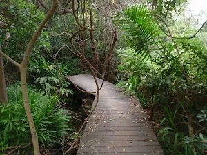 Manly Scenic Walkway boardwalk