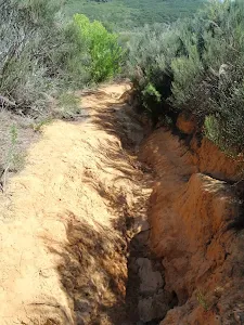 Eroded Track