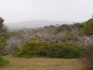 Distant Range south of Haycock Point