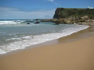 Burning Palms loop from Garawarra