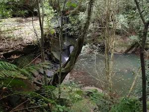 Track above Martins Falls