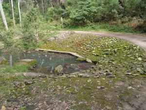 Browns Waterhole