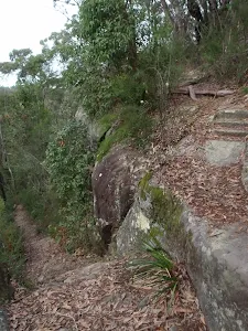 Zig zag in track