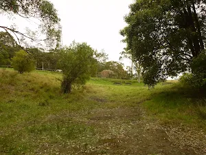 Grassy slopes through the Mt Sugarloaf picnic area