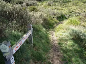 Bridle Loop intersection