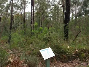 Sign interpreting the bush on the Mambara Track
