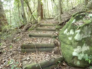 Timber steps north of Wollombi Brook Pool