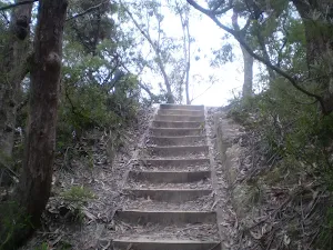 Stairs on track