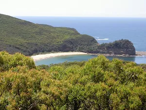 Maitland Bay and headland