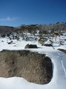 Blanket of snow on a boulder