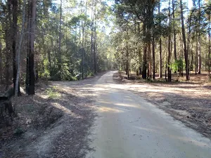 Palmers Rd in the Watagans