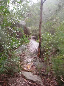 Track beside Glenbrook Ck