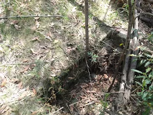 Old Building Foundations at Ten Mile Hollow Campsite