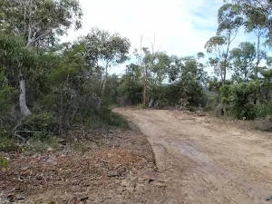 Tunnel track service trail