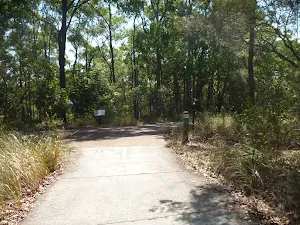Forested track intersection in Green Point Reserve 