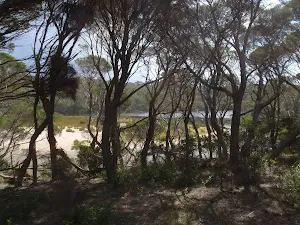 View of water from Light to Light walk