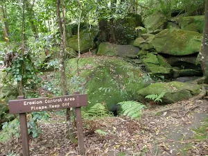 Track over rocks