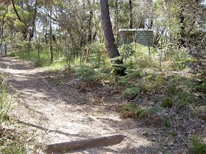Evans Lookout toilets next to track