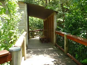 Boardwalk in the Wildlife Exhibits in Carnley Avenue Reserve