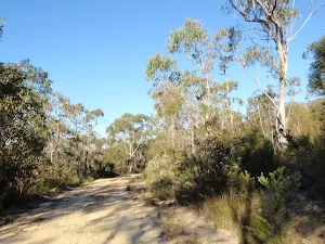Near the top of the Simpson Track