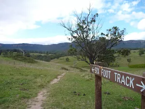 Six Foot Track winding over the rolling farm hills