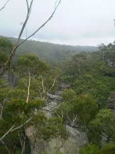View from Lyrebird Lookout