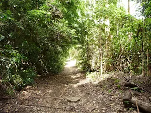 The Bar Trail