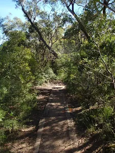 following the bushtracks