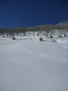 Side of Guthega River valley