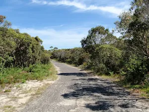 Beachcomber Rd Service Trails