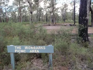 Ironbarks Picnic Area