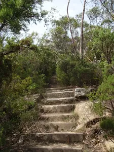 bottom of Lady Darley Lookout track