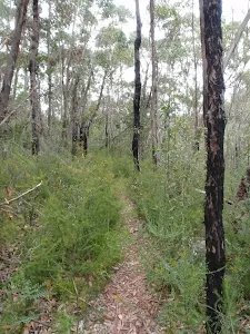 Florabella Pass Track