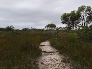 Track to Aboriginal Engraving