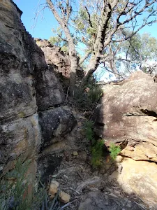 Near the top of Pisgah Rock