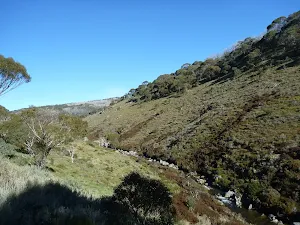Threbo River Valley from Cascade Trail