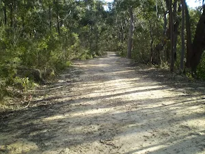 Six Foot Track south of Nellies Glen