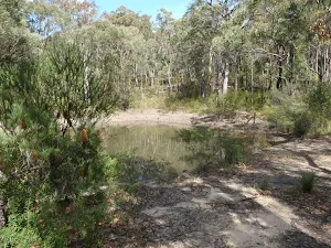 Wheel Gully