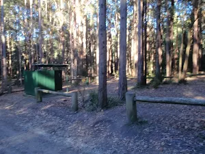 Turpentine Campsite